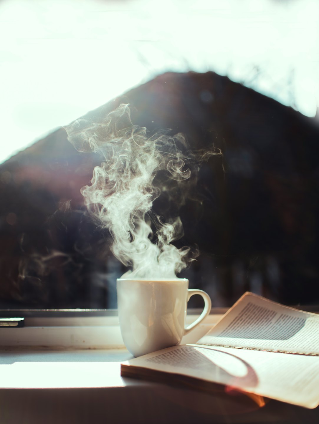 A steaming mug and open book sit on a windowsill.
